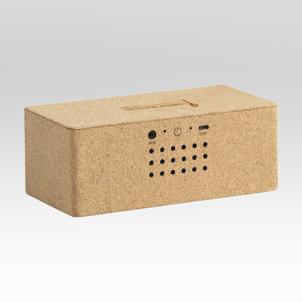 Enceinte Bluetooth